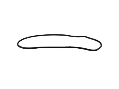 Mopar 68144967AD WEATHERSTRIP-Rear Door Opening