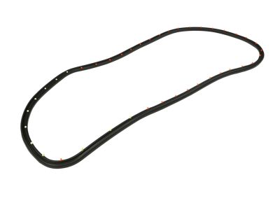 Mopar 68144967AD WEATHERSTRIP-Rear Door Opening