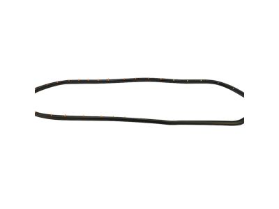 Mopar 68144967AD WEATHERSTRIP-Rear Door Opening