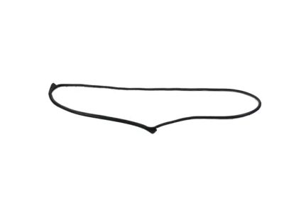 Mopar 68291603AE W/STRIP-Front Door Mounted
