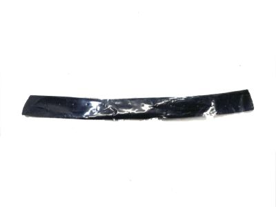 Mopar 68349628AC Check-Front Door
