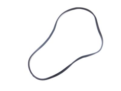 Mopar 68233254AA Strip-Front Door Opening