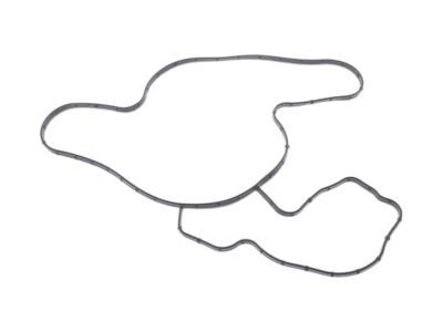 Mopar 68394131AA Gasket-Water Pump