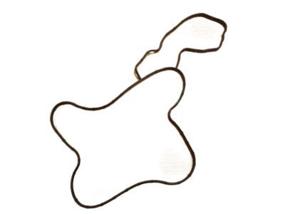 Mopar 68394131AA Gasket-Water Pump