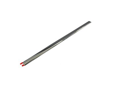 Mopar 68140236AA Molding-Front Door