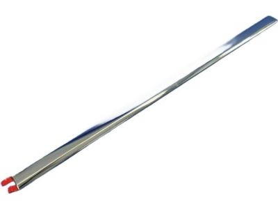 Mopar 68140236AA Molding-Front Door