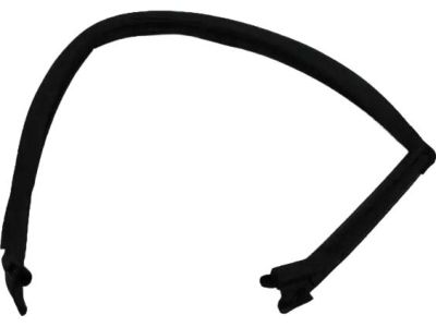 Mopar 4575890AK W/STRIP-Front Door Glass