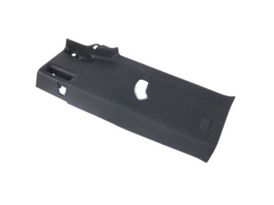 Mopar 1DX61DX9AB C Pillar