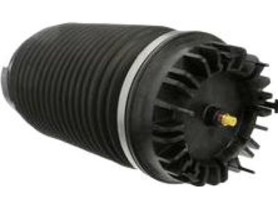 Mopar 68248948AA Spring-Air Suspension