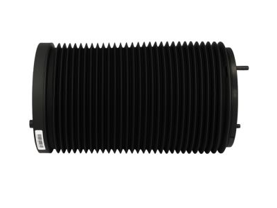 Mopar 68146387AE Spring-Air Suspension