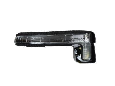 Mopar 68228921AA Lamp-Turn Signal