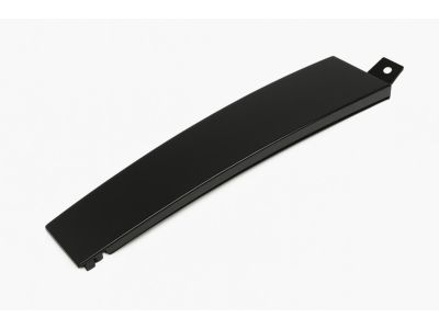 Mopar 4806307AA APPLIQUE-Rear Door