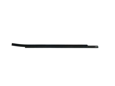 Mopar 68285777AE W/STRIP-Rear Door Belt Outer