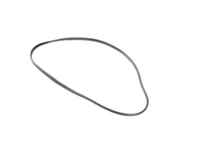 Mopar 68402034AA WEATHERSTRIP-Rear Door Body Mounted