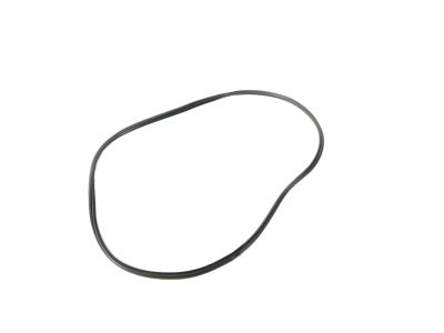 Mopar 68402034AA WEATHERSTRIP-Rear Door Body Mounted