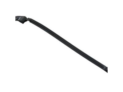Mopar 68096407AD WEATHERSTRIP-Door Belt