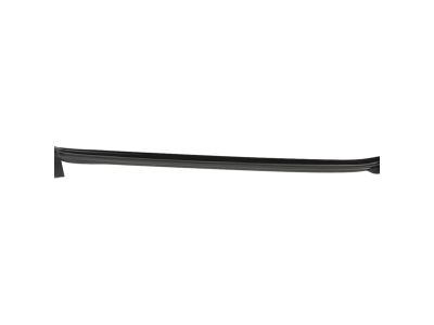 Mopar 68096407AD WEATHERSTRIP-Door Belt