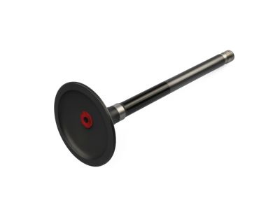 Mopar 4893173AC Valve-Engine Exhaust