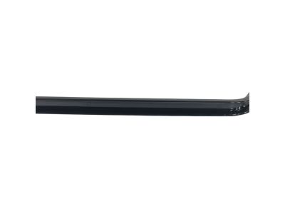Mopar 68186026AA Track-Sliding Door