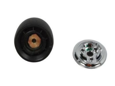 Mopar 1RV42DX9AB Knob-GEARSHIFT