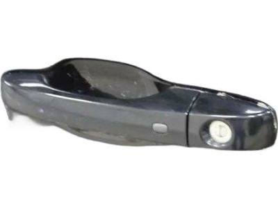 Mopar 1RH64DX8AG Handle-Exterior Door