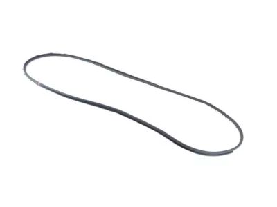 Mopar 68420171AA WEATHERST-Front Door Mounted