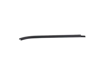 Mopar 68271674AD W/STRIP-Door Belt Outer