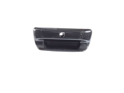 Mopar 6RN80AXRAA Handle-TAILGATE