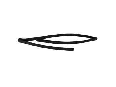 Mopar 4894929AG Channel-Front Door Glass