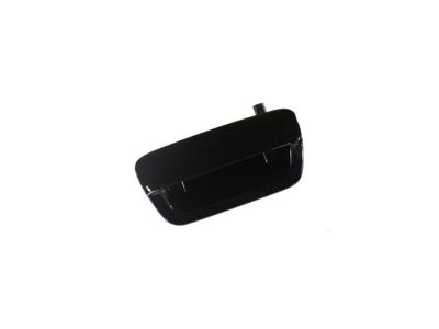 Mopar 1YK38SHRAE Handle-LIFTGATE