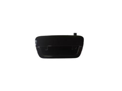 Mopar 1YK38SHRAE Handle-LIFTGATE