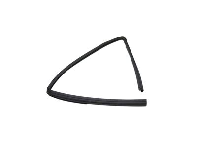 Mopar 68285726AE Front Door Glass Run