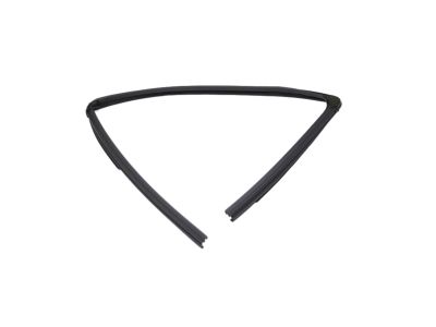 Mopar 68285726AE Front Door Glass Run