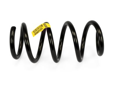 Mopar 5168679AB Front Coil Spring