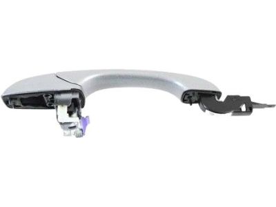 Mopar 1QA18AXRAH Handle-Exterior Door