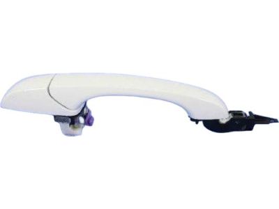 Mopar 1QA18AXRAH Handle-Exterior Door