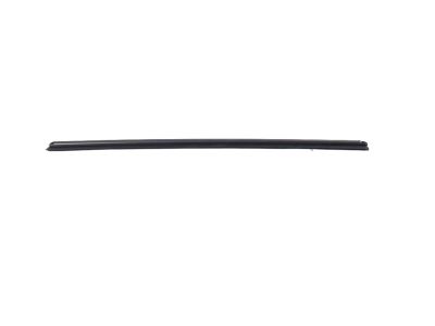 Mopar 68359296AB W/STRIP-Door Belt Inner