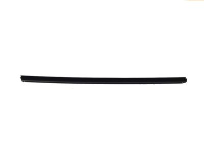Mopar 68359296AB W/STRIP-Door Belt Inner