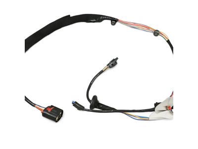 Mopar 68066013AE Wiring-Front Door