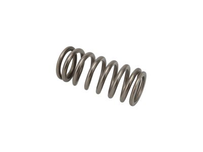 Mopar 5048237AB Spring-Intake Valve