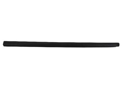 Mopar 68297608AA Molding-Windshield