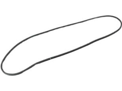 Mopar 68420172AA WEATHERST-Front Door Mounted