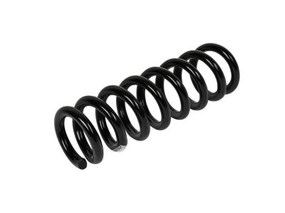 Mopar 68199570AB Rear Coil Spring