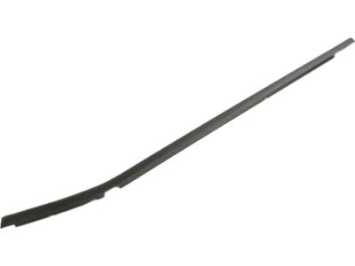 Mopar 68398876AA WEATHERST-Front Door Belt