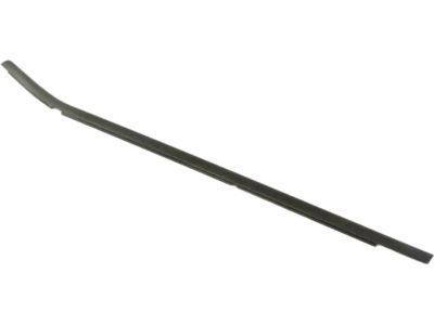 Mopar 68398876AA WEATHERST-Front Door Belt