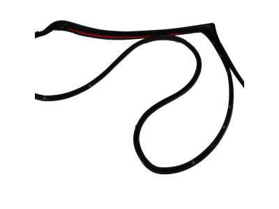 Mopar 68045992AB WEATHERSTRIP-Rear Door Mounted