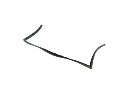 Mopar 68188784AE WEATHERST-Front Door Glass