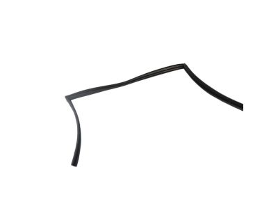 Mopar 68188784AE WEATHERST-Front Door Glass