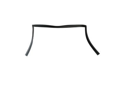 Mopar 68188784AE WEATHERST-Front Door Glass