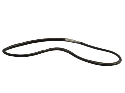 Mopar 4763878AE WEATHERSTRIP-Door Glass